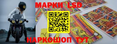 индика Партизанск