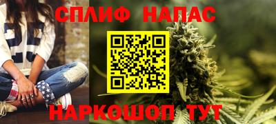 индика Партизанск