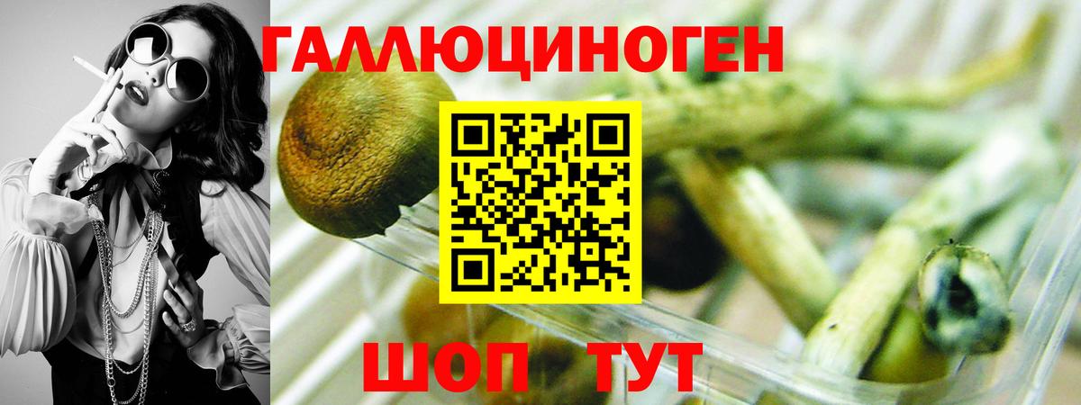 Галлюциногенные грибы мухоморы Дальнереченск