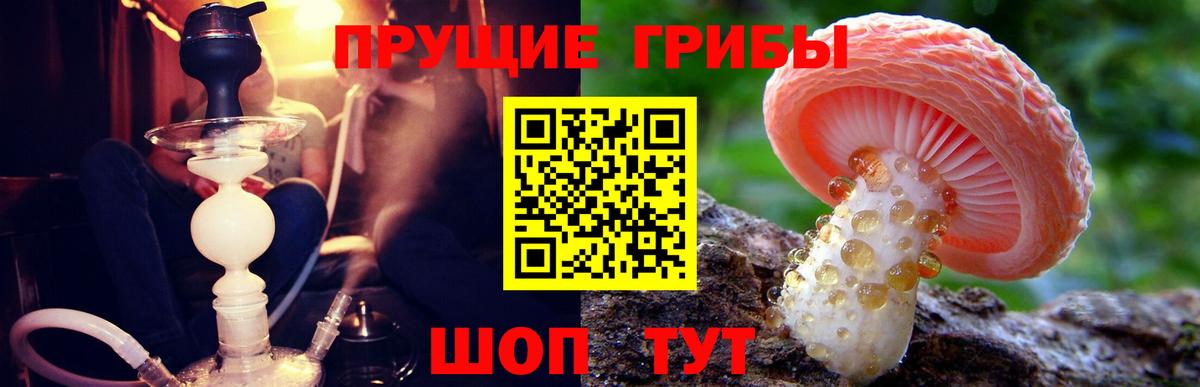Галлюциногенные грибы Magic Shrooms  как найти наркотики  Дальнереченск  Вход с VPN 
